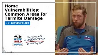 Home Vulnerabilities: Common Areas for Termite Damage