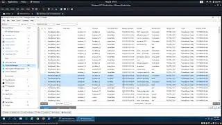 Report Data carving using IEF