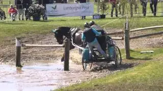 LAUTERBACH Claudia, GER, CAI3, H1, Horst 2015, Marathon O5