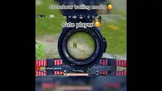 Crossbow trolling noobs 🥰😂 #shorts #bgmi