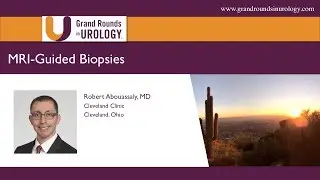 An Overview of MRI Guided Biopsies for Prostate Cancer