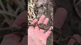 A dream find, part of the Wehrmacht's ceremonial ammunition #metaldetecting #cop #copinplantation...