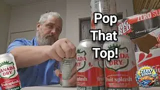 Zero Soda Super Fan Sips, Slams, & Rates Canada Dry Zero Sugar Fruit splash cherry ginger ale