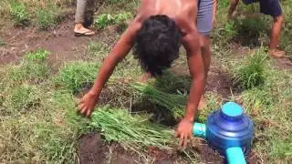Awesome Quick Bird Trap Easy Deep Hole Using Pipe PVC and Water Bottle in Cambodia