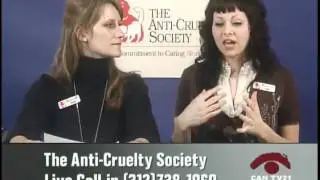 CAN TV21 Episode #9: Volunteer and Foster Programs