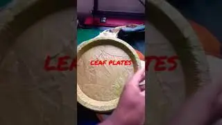 Leaf Plates Disposable