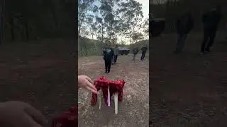 Pinoyaussie