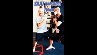 SILAT: Learn The KNOCKOUT Punch