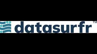 datasurfr: Risk Intelligence Tool
