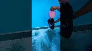 zebronics zeb sound feast 500 bt speaker waterproof test