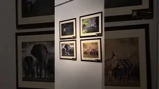 AURA 2024 #aura #photography #exhibition #international #2024 #retrokolkata