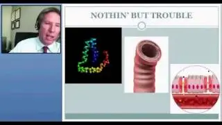 Against The Grain - Dr. Peter Glidden