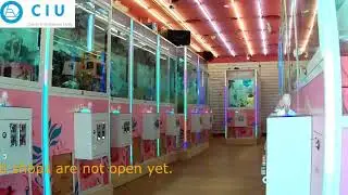 Daily life in Taiwan during COVID-19.Video recorded by OTG USB Camera