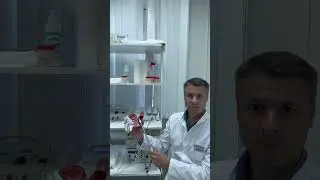 Ультразвук на простату #простатит #простата  #ультразвук