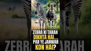 3️⃣&ldquo;90% log is janwar ko pehli baar dekh rahe hain!&rdquo; 😱#facts #animals #nature
