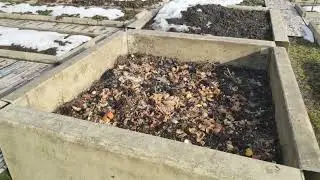 Конец января  Запах весны