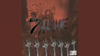 Ziggzagg