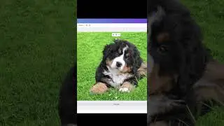 Instant 'Background Removal' with Canva's AI Tool! 🚀 Quick Tutorial for Stunning Images #shorts