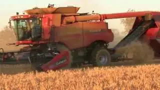 Copy of Rod and Andrew Messina harvesting at Mullewa WA.