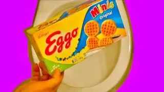 Will it Flush? - Eggo Waffles - Minis Original - Box