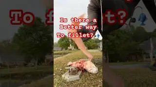 🎣Should I stop cleaning fish where I catch them? 🐟 #blackmanfishing #fishfillet #catchandclean