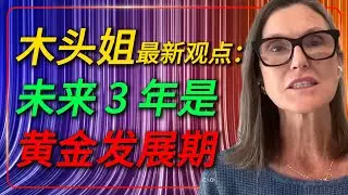 木头姐最新观点：我们正处在由“加强版里根经济学”带来的“三年黄金发展期”的开端！