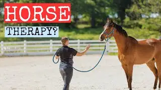 What is Equine Assisted Learning? | How horses help with mental health.