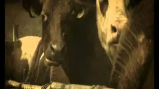 Novy klip Tomasa Hafnera - Najvacsie mliecne hity