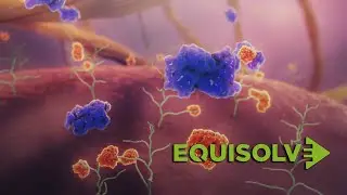 3D Medical Animation | Medical Explainer Video Production