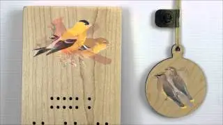 Product Short: Peterson Birds