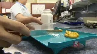 Cancer Patient Fights For &lsquo;Right To Try&rsquo; Bill