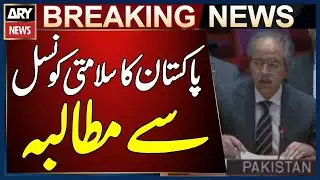 Pakistan Urges UN Security Council to Act for Peace in Yemen | Breaking News