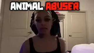 This Streamer Abused Their Dog Live