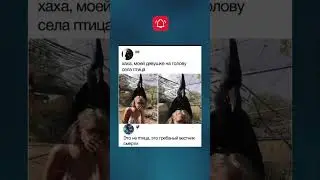 Йо маю 😂 #мем смех #смешныевидео #прикол #шутки #jokes #shorts #shortvideo #юмор #мемы