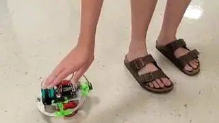 Robot Pet Follows Human