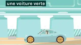 Cars, Colours & French Language Adventure