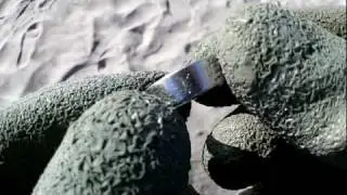 Coronado Beach Detecting (Stainless Ring w/Diamond) 12-18-11