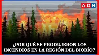 Incendios forestales: estos son los principales factores que debemos considerar