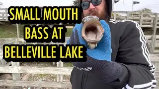 Did You Know There Are Fish In Belleville Lake?