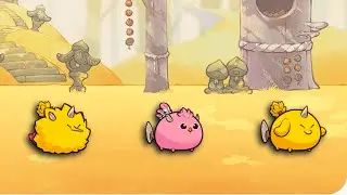 Top Player Axie Origin - PLAYTESTER