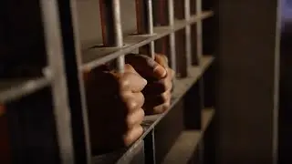 Criminal justice system hearings: Snapshot 9