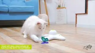 10 NEW CATS GADGETS & TOYS YOU MUST HAVE AMAZON 2023 ▶ GADGETS FOR DOG LOVERS! you already have it ?
