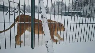 Красота зимней природы. ПАРК ЗЕМЛЯ ПРАЙДА 🌿 