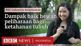 Tinggal bersama hewan peliharaan berdampak baik bagi ketahanan tubuh- BBC News Indonesia