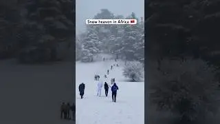 Ifrane 🇲🇦 A mini Switzerland of Morocco ❤️ #snow #ifrane #maroc