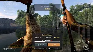 Unique Burbot Guide - Selenge River - Fishing Planet