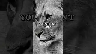 You weren&rsquo;t born to fit in. Break the mold.  #motivation #neverweak #darkmotivation #neverlosefaith