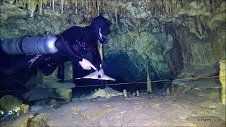 Sidemount Cave Diving in Dos Palmas. Harry Gust &ndash; Cave Explorations