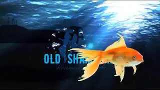 Студия VIDEN | Заказать интро | Оформление канала | Группы ВКонтакте | Цены от 500р. | Интро | Топ
