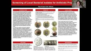 Screening of Local Bacterial Isolates for Antibiotic Properties